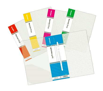 Benelux Report File