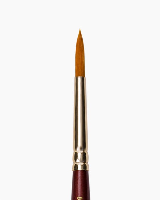 Camel Synthetic Gold Brushes (2066778)